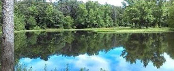 Lake Bob Sandlin, Camp County, Texas