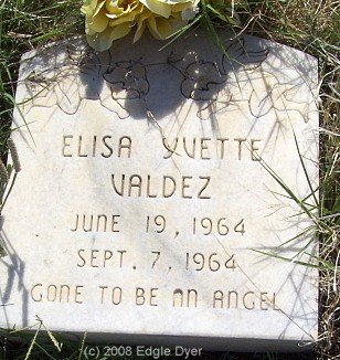 Brownfield Cemetery, Terry County, Texas